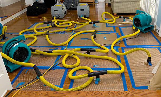 Professional Crawl Space Water Removal technician working in Fairview, UT